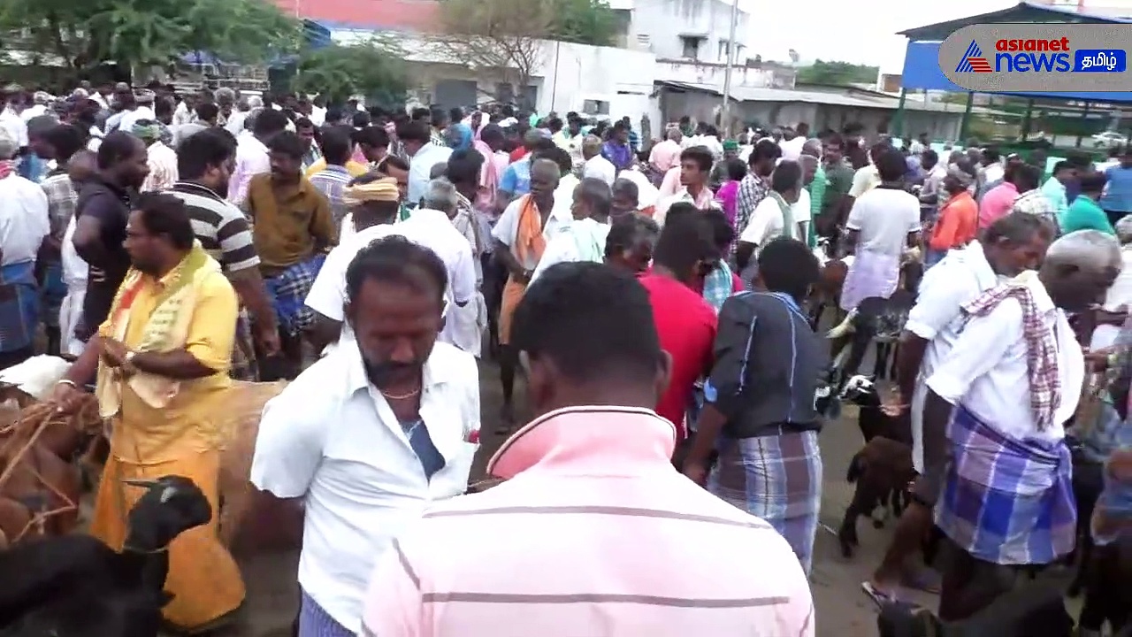Watch : பக்ரீத் பண்டிகையை முன்னிட்டு களைகட்டிய ஆடு சந்தை! - ரூ.1 கோடிக்கும் மேல் விற்பனை!