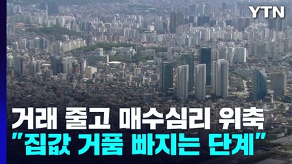거래량 줄고 매수심리 위축..."집값 거품 빠지는 단계" / YTN