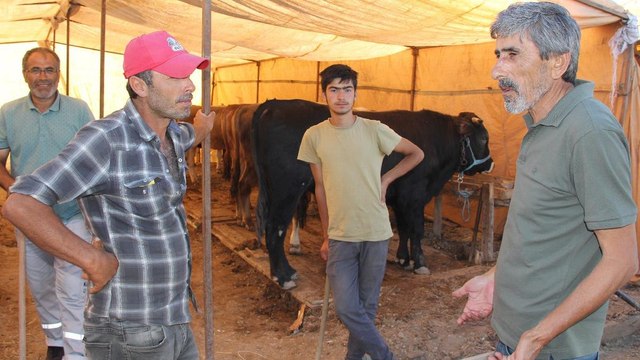 Vatandaşın haline bak ya! Böyle bir rezillik olur mu? Hayvancıların üstüne bindikçe biniyorlar...
