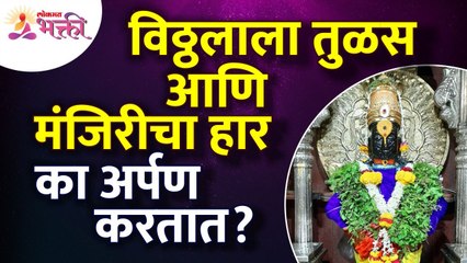 विठ्ठलाला तुळस आणि मंजिरीचा हार का अर्पण करतात? Why we offer Tulsi & Manjari flower to lord Vitthal?