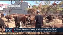 Permintaan Hewan Kurban Di Makassar Meningkat, Jumlahnya Fantastis..