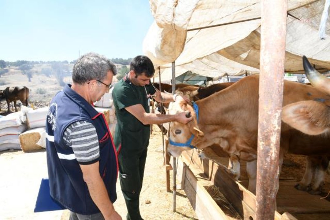 Karabağlar'da Kurban Satış Yerleri Denetleniyor