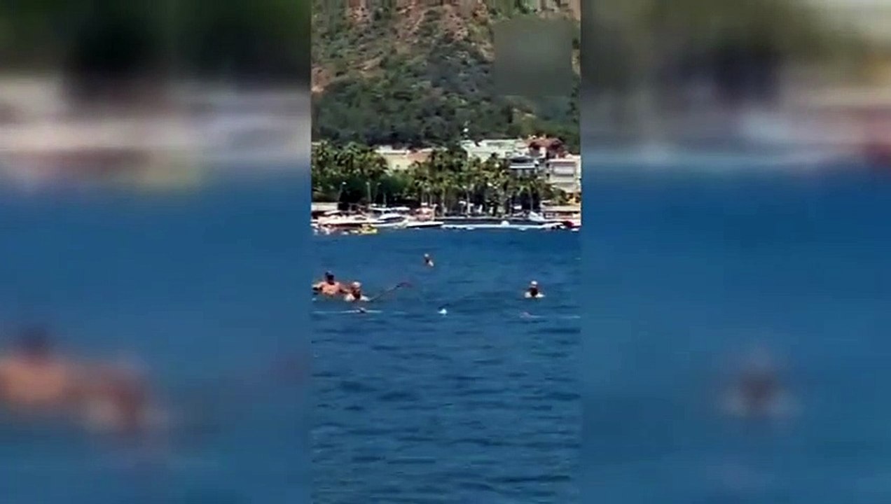 Turquia. Turistas tentam afastar 'tubarão'… com uma esfregona