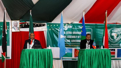 كينيا.. دول إيغاد توصي بضرورة الحفاظ على السلم والأمن