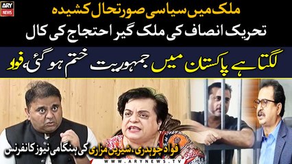 PTI calls country wide protest over Imran Riaz and Haleem Adil sheikh's arrest