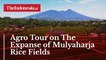 Agro Tour on The Expanse of Mulyaharja Rice Fields