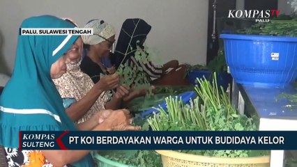 PT KOI Berdayakan Warga Untuk Budidaya Kelor