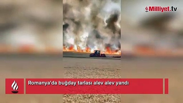 Romanya'da buğday tarlası alev alev yandı