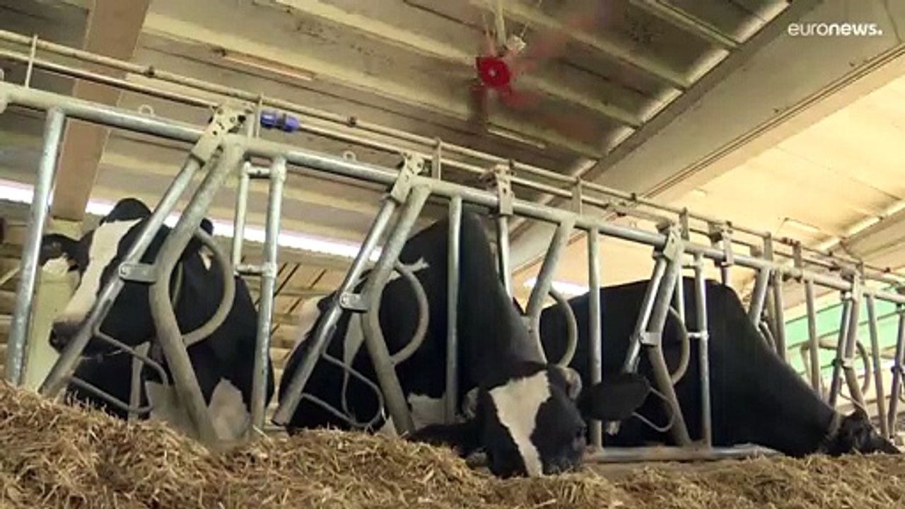 Dürre-Notstand in Italien und kein Ende in Sicht