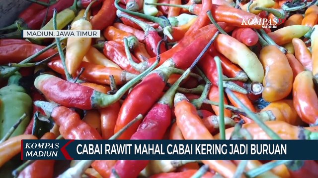 Cabai Rawit Mahal Cabai Kering Jadi Buruan