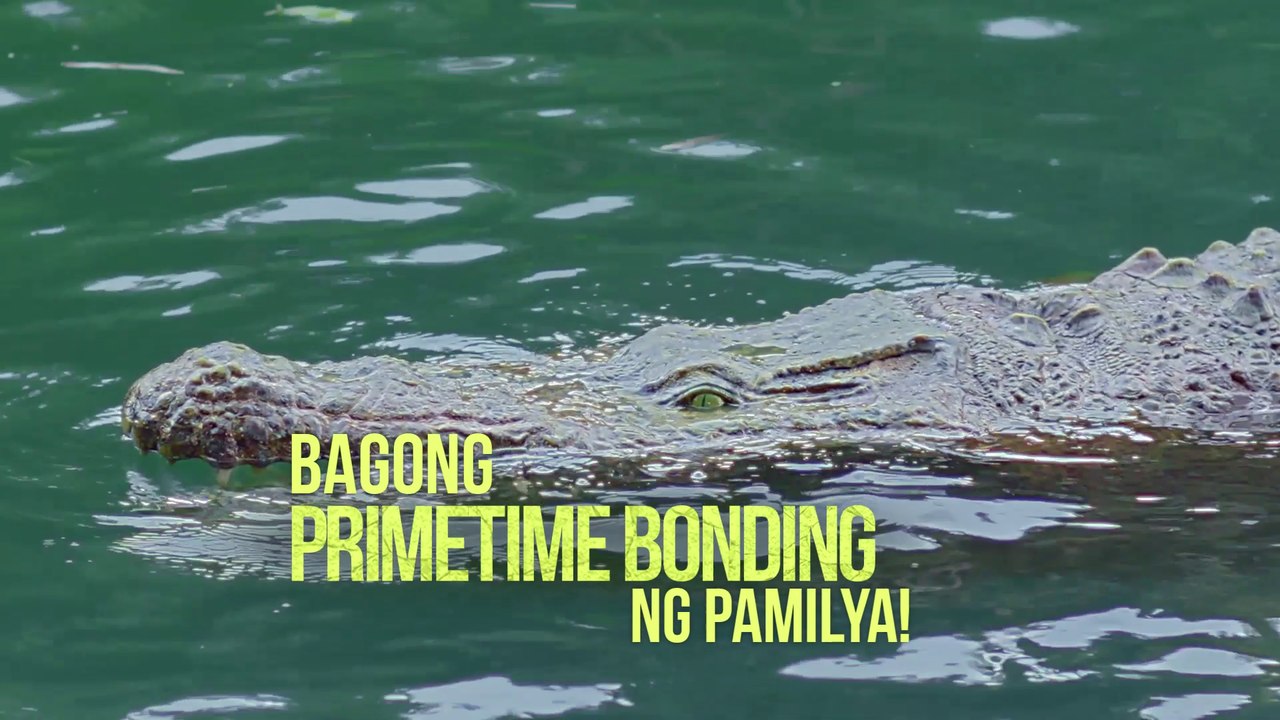 Lolong: Dambuhalang panalo