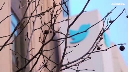 Twitter zerrt Elon Musk vor Gericht: "Aktionärsvermögen vernichtet"