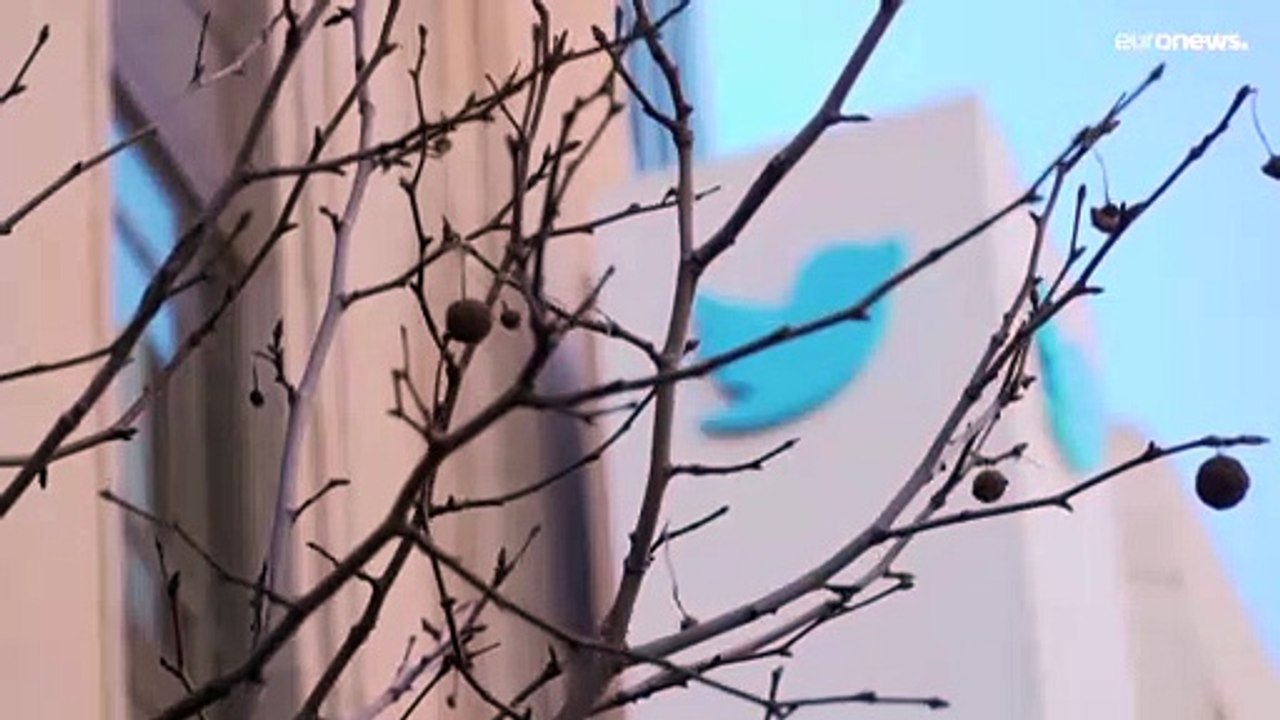 Twitter zerrt Elon Musk vor Gericht: 'Aktionärsvermögen vernichtet'