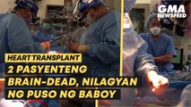 Pig heart transplants succeed in 2 brain-dead patients | GMA News Feed