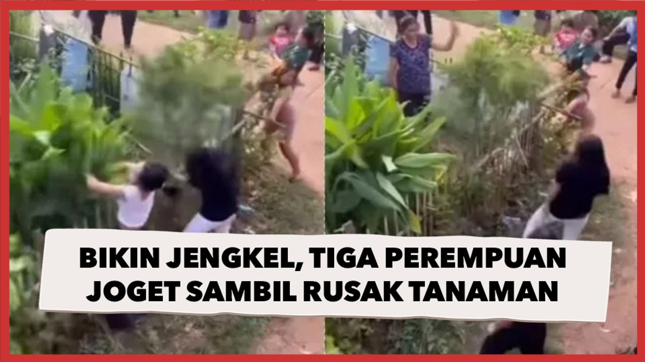 Bikin Jengkel, Tiga Perempuan Joget Aneh Sambil Rusak Tanaman Warga: Diusir Makin Menjadi