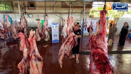 فلسطين: جمعية الأيادي البيضاء توزع لحوم الأضاحي على الأسر المهمشة بغزة