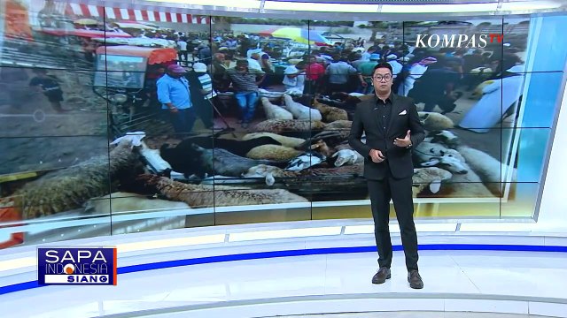 Idul Adha di Tengah Sulit Perekonomian Gaza, Pedagang Mengeluh Penjualan Hewan Kurban Menurun!