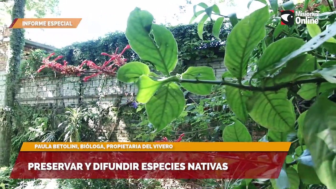 Preservar y difundir especies nativas