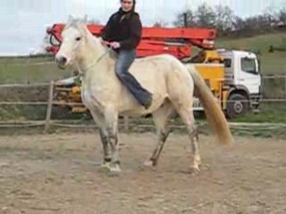 Izou "pivot" des hanches monté