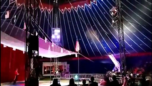 Royaume-Uni: Un homme canon décolle moins loin que prévu et se crashe dans un cirque