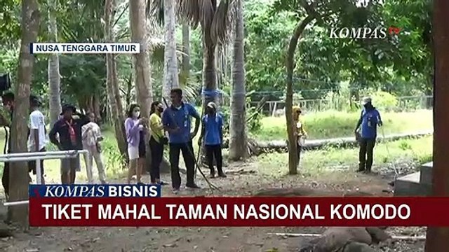 Mulai 1 Agustus 2022, Tiket Masuk Taman Nasional Komodo Naik Jadi Rp 3,75 Juta