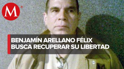 EU pide negar la libertad de Benjamín Arellano Félix