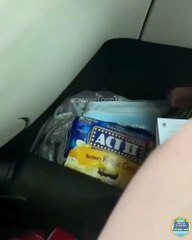 VÍDEO: Captan momento en que un rayo impacta una camioneta en plena autopista en Florida,EEUU