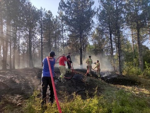 Son Dakika | EDİRNE'DE ORMANDA ÇIKAN YANGIN BÜYÜMEDEN SÖNDÜRÜLDÜ