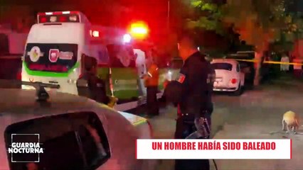 Una perrita intentaba reanimar y curar a su dueño que fue baleado en la colonia Del Fresno