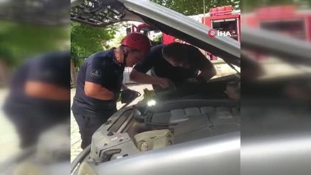 Kartal'da kedi kurtarma operasyonu: Evden kaçtı, araç motoruna sıkıştı