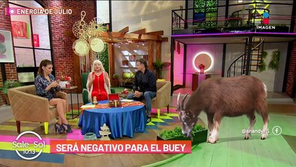 Cynthia Klitbo denuncia a Juan Vidal | Programa Completo 5/7/2022 | Sale el Sol