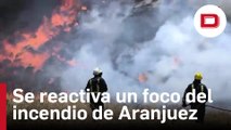 Se reactiva un nuevo foco en el incendio forestal de Aranjuez