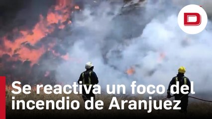 Se reactiva un nuevo foco en el incendio forestal de Aranjuez