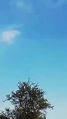 Mouries : un départ de feu stoppé par les avions