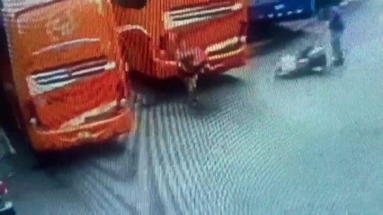 ext-perro-puntarenas-060722