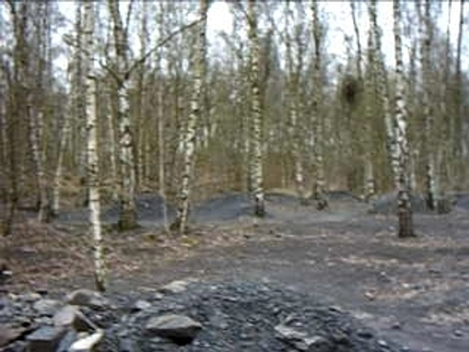 Session au terril de raismes