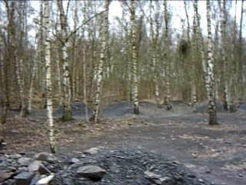 Session au terril de raismes