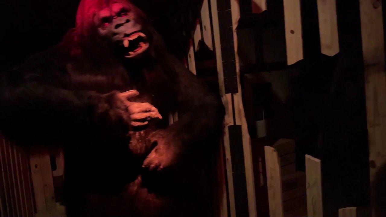 Earthquake: The Ride (Gatlinburg, Tennessee) - 4k Dark Ride POV Experience - Tourist Trap