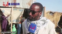 Tchad : Le mouton hors de prix à l’approche de la fête de Tabaski, les commerçants s’expriment