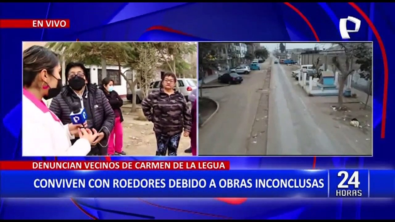 Obras inconclusas: roedores, basura y desmonte afecta a vecinos desde hace 2 años