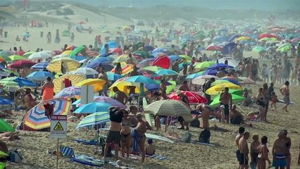 Problèmes dans les compagnies aériennes  les gens en ont plein leur voyage