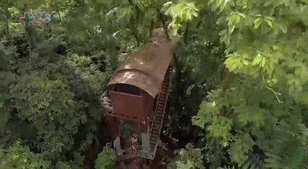 mqn-José Ernesto durmió en la copa de los árboles en Boca Tapada de San Carlos-060722