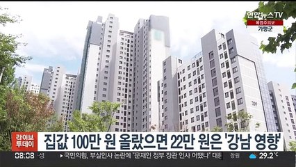 집값 100만원 올랐으면 22만원은 '강남 영향'