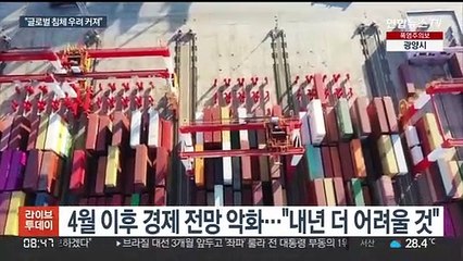 IMF "글로벌 경기침체 위험 커져…내년 더 고통"