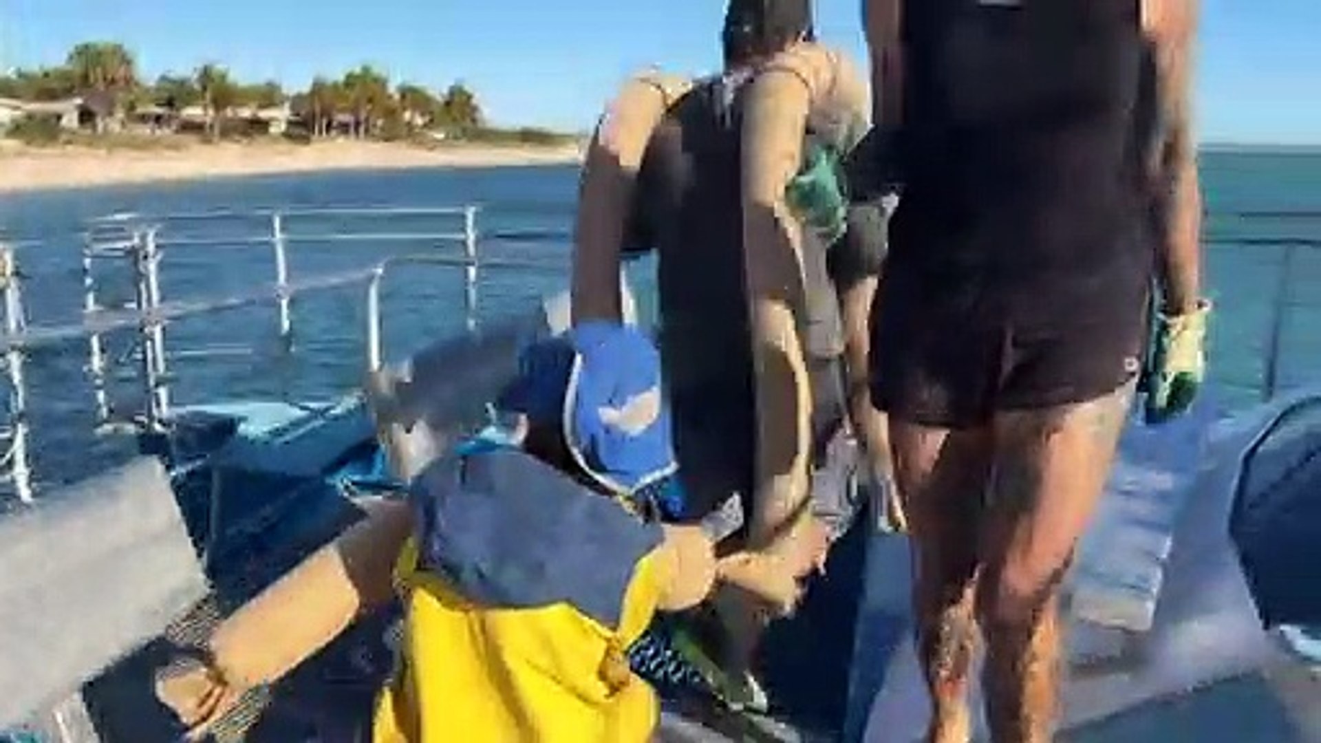 Indigenous rangers and scientist team up to save seagrass