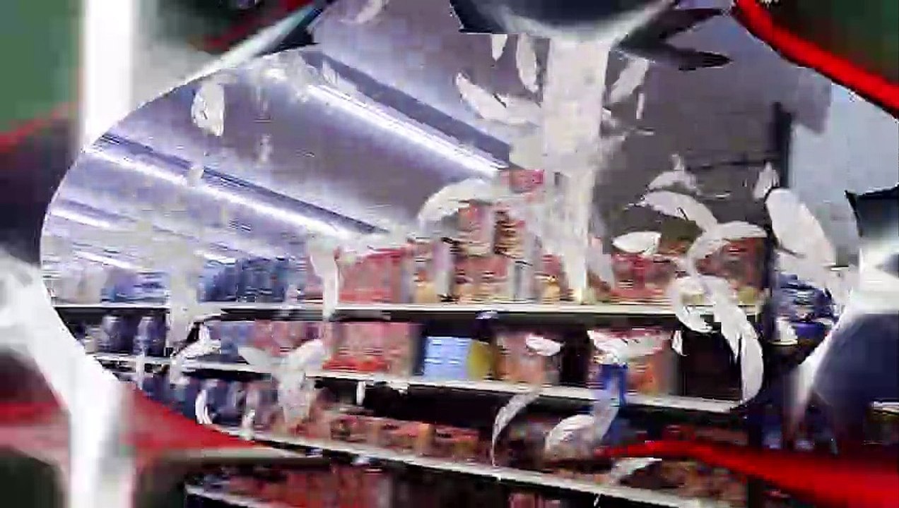 Cleaning cat box l putting away trash can l shopping l Powerdirector 20.compressed