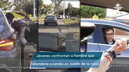 Hombre abandona a un perrito, queda grabado y lo niega