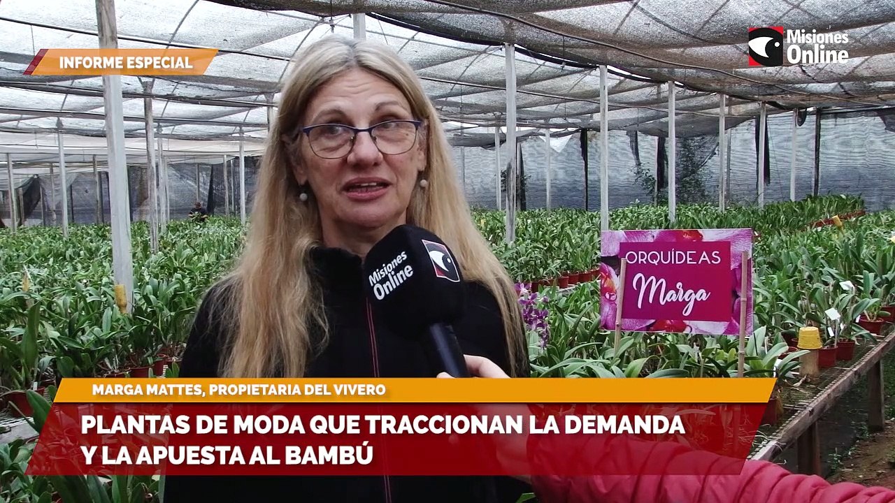 Vivero Las Orquídeas, líderes en indiscutidos d...