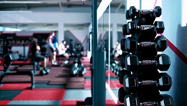 THE GYM BEATS Vol 16 Nonstop Megamix, BEST WORKOUT MUSIC,FITNESS,MOTIVATION,SPORTS,AEROBIC,CARDIO