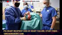 Pig heart recipient died of heart failure, study finds - 1breakingnews.com